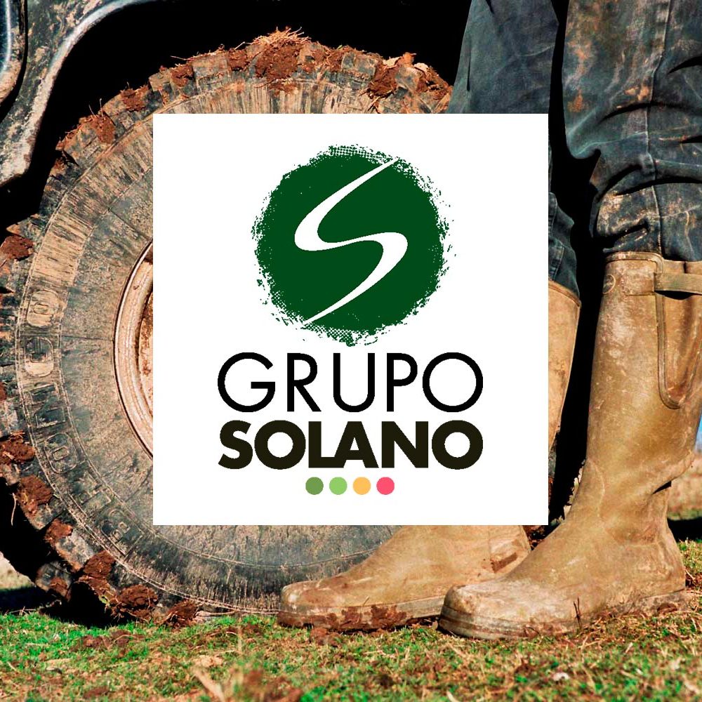 Grupo Solano al pie de la finca tgx 1000x1000 1 Tecnogenext inseminación de cerdo ibérico inseminación de cerdo ibérico,tecnogenext