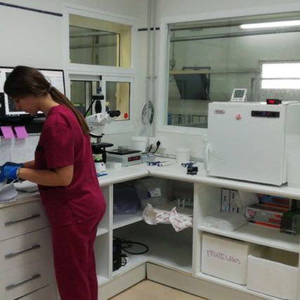 tecnogenext 5 Tecnogenext tecnogenext tecnogenext,inseminación artificial de ibérico