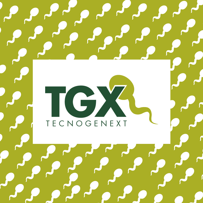 Tecnogenext inseminacion artificial de ibérico y duroc