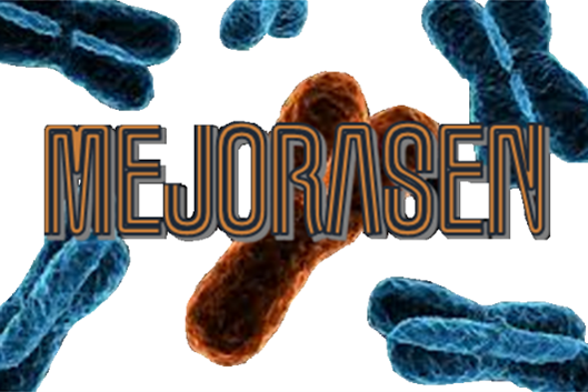mejorasem Tecnogenext tecnogenext tecnogenext,inseminación artificial de ibérico